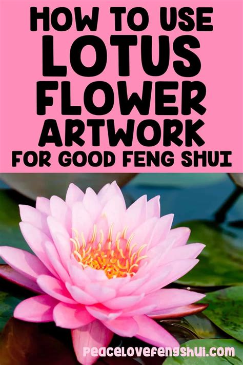 河花|The Lotus Flower in Chinese Culture and Feng Shui: Significance。